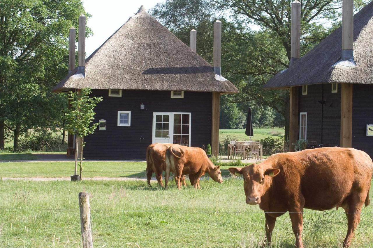 Wierden Erve Woolderinkヴィラ エクステリア 写真